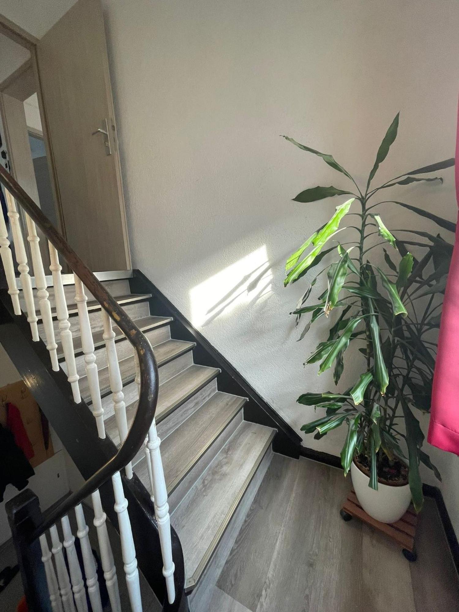 Leo Apartment Zentrum Ruesselsheim Luaran gambar